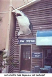 funny-picture-6113