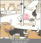 funny-picture-6708