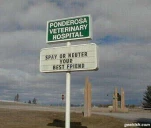 funny-picture-5926