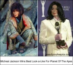 funny-picture-5823
