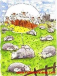 funny-picture-5732