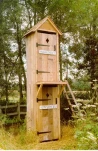 funny-picture-6272