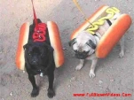 funny-picture-5469