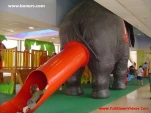 funny-picture-5477