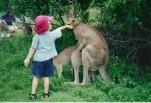 funny-picture-6678