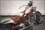funny-picture-6477