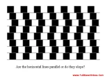 funny-picture-5455