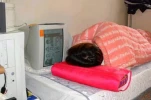 funny-picture-6085