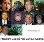 funny-picture-6357