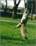 funny-picture-6780
