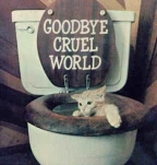 funny-picture-6643