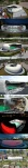 funny-picture-6288
