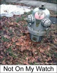 funny-picture-6931