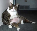 funny-picture-6334