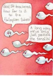 funny-picture-5941