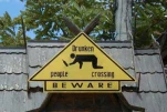 funny-picture-6392