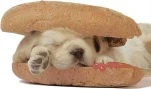 funny-picture-6059