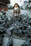 funny-picture-6530