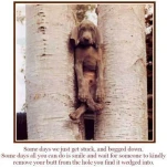 funny-picture-5807