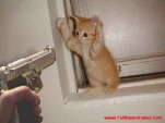 funny-picture-6410