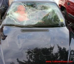 funny-picture-6716