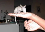 funny-picture-6159