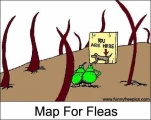 funny-picture-5579