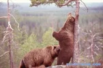 funny-picture-5798