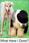 funny-picture-6652