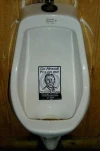 funny-picture-5713