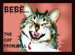 funny-picture-6442