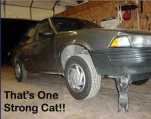 funny-picture-6608
