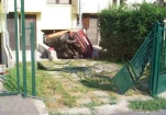 funny-picture-5736