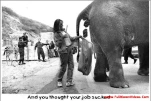 funny-picture-5638