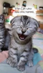 funny-picture-6450