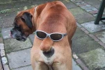 funny-picture-5796