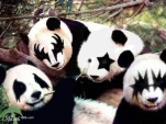 funny-picture-6027