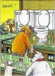 funny-picture-5519