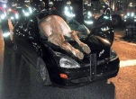 horse car