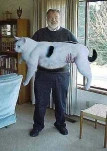 funny-picture-6418