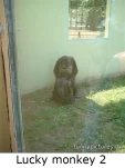 funny-picture-6097