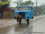 funny-picture-6717