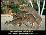 funny-picture-5525