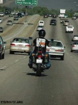 funny-picture-6181