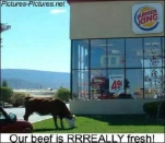 funny-picture-6814