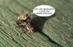 funny-picture-6446