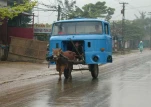 funny-picture-6515