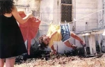 funny-picture-5911