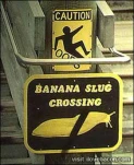 funny-picture-6018