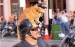 funny-picture-6236